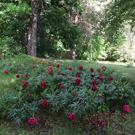 Chateau De Laric Chabestan Buitenkant foto