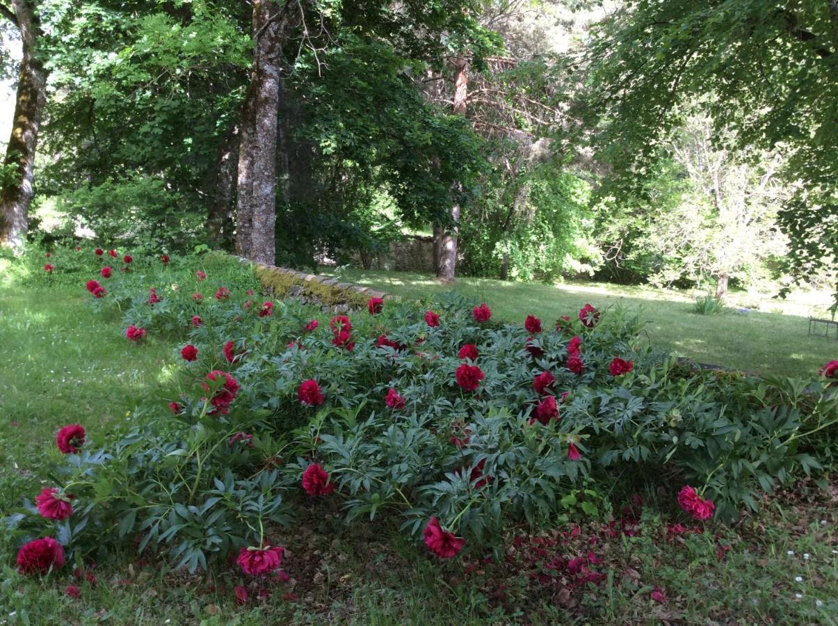 Chateau De Laric Chabestan Buitenkant foto